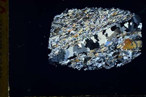 Cross Polarized, S31022