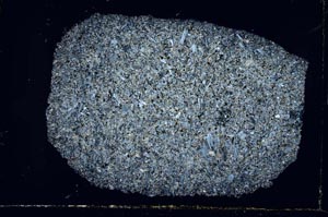 Cross Polarized, S31023