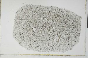 Plane Polarized, S31023