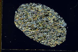 Cross Polarized, S31024