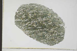 Plane Polarized, S31024