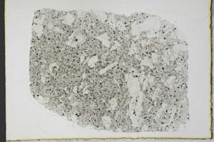 Plane Polarized, S31025