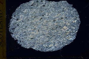 Cross Polarized, S31044