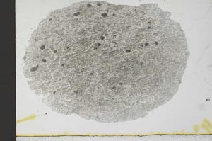 Plane Polarized, S31044