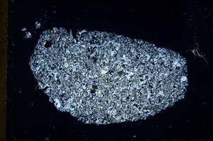 Cross Polarized, S31045