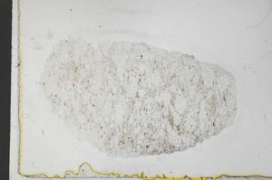 Plane Polarized, S31045