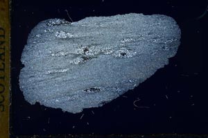 Cross Polarized, S31046