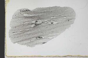 Plane Polarized, S31046