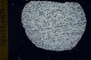 Cross Polarized, S31047