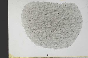 Plane Polarized, S31047