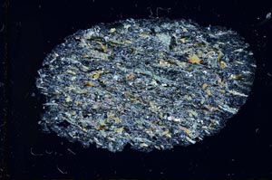 Cross Polarized, S31048