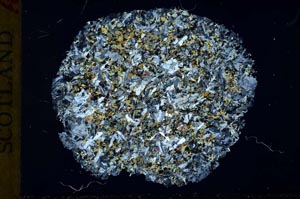 Cross Polarized, S31049