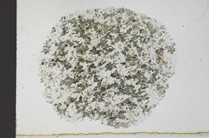 Plane Polarized, S31049