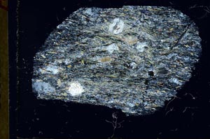 Cross Polarized, S31050