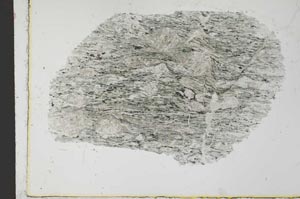 Plane Polarized, S31050