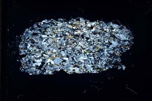 Cross Polarized, S31051