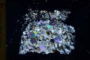 Cross Polarized, S31052