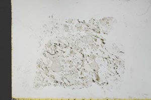 Plane Polarized, S31052