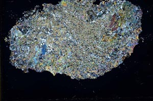 Cross Polarized, S31053