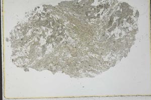 Plane Polarized, S31053