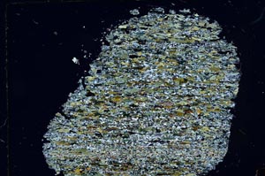 Cross Polarized, S31054