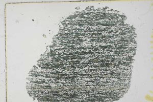 Plane Polarized, S31054