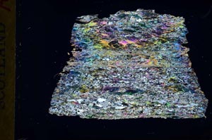 Cross Polarized, S31056