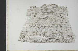 Plane Polarized, S31056