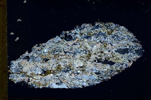 Cross Polarized, S31057