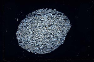 Cross Polarized, S31058