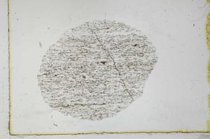 Plane Polarized, S31058