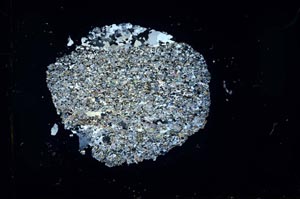 Cross Polarized, S31059