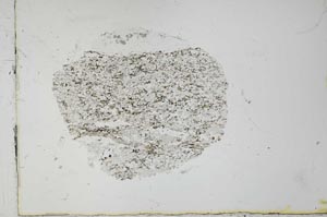 Plane Polarized, S31059