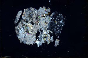 Cross Polarized, S31060