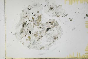 Plane Polarized, S31061