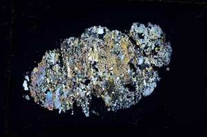 Cross Polarized, S31064