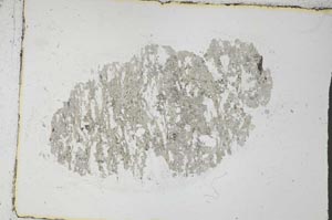 Plane Polarized, S31064