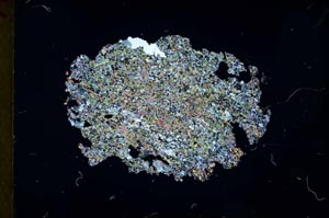 Cross Polarized, S31065