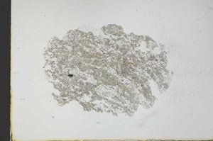 Plane Polarized, S31065