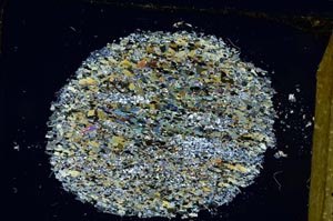 Cross Polarized, S31066