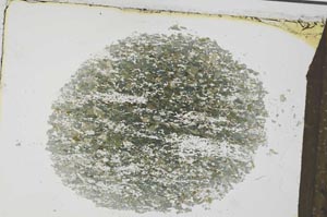 Plane Polarized, S31066