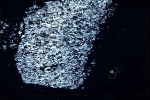 Cross Polarized, S31067