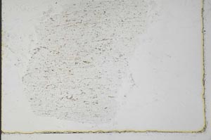 Plane Polarized, S31067