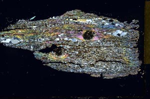 Cross Polarized, S31068