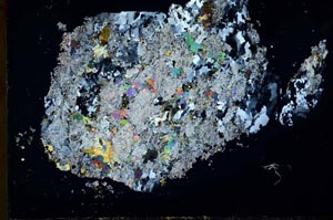 Cross Polarized, S31071