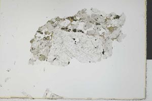 Plane Polarized, S31073