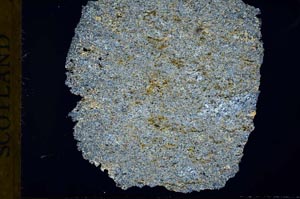 Cross Polarized, S31074