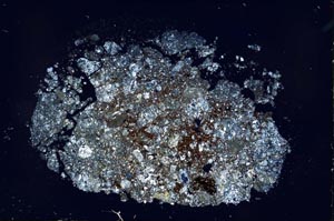 Cross Polarized, S31077