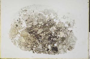 Plane Polarized, S31077