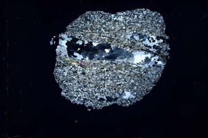 Cross Polarized, S31078